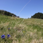 Impressionen 058