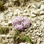 Impressionen 127