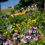 Impressionen 142