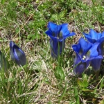 Impressionen 156