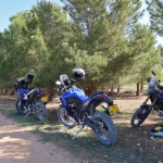 Yamaha Tenere 700 World Raid - Test - 45
