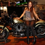 EICMA 2015 - Harley - 03
