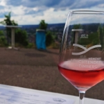 Leuchtender Weinberg Beutelsbach 2023 - 01