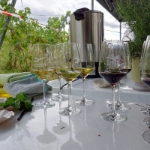 Leuchtender Weinberg Beutelsbach 2023 - 05