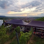 Leuchtender Weinberg Beutelsbach 2023 - 10