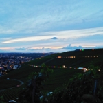 Leuchtender Weinberg Beutelsbach 2023 - 12
