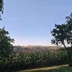 Grillen bei Kasi 2023 - 02