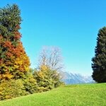 Herbst am Freibergsee - 05