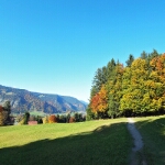 Herbst am Freibergsee - 07