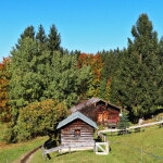 Herbst am Freibergsee - 08