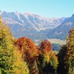 Herbst am Freibergsee - 09
