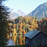 Herbst am Freibergsee - 12
