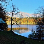 Herbst am Freibergsee - 13