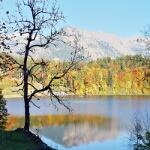 Herbst am Freibergsee - 14
