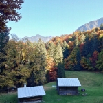 Herbst am Freibergsee - 15