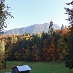 Herbst am Freibergsee - 18