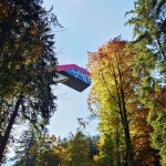 Herbst am Freibergsee - 21