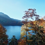 Herbst am Freibergsee - 22