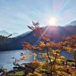 Herbstfarben rund um den Freibergsee