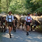 Viehscheid Oberstdorf 2026