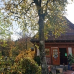 Schwarzwaldtour - 03