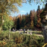 Schwarzwaldtour - 04