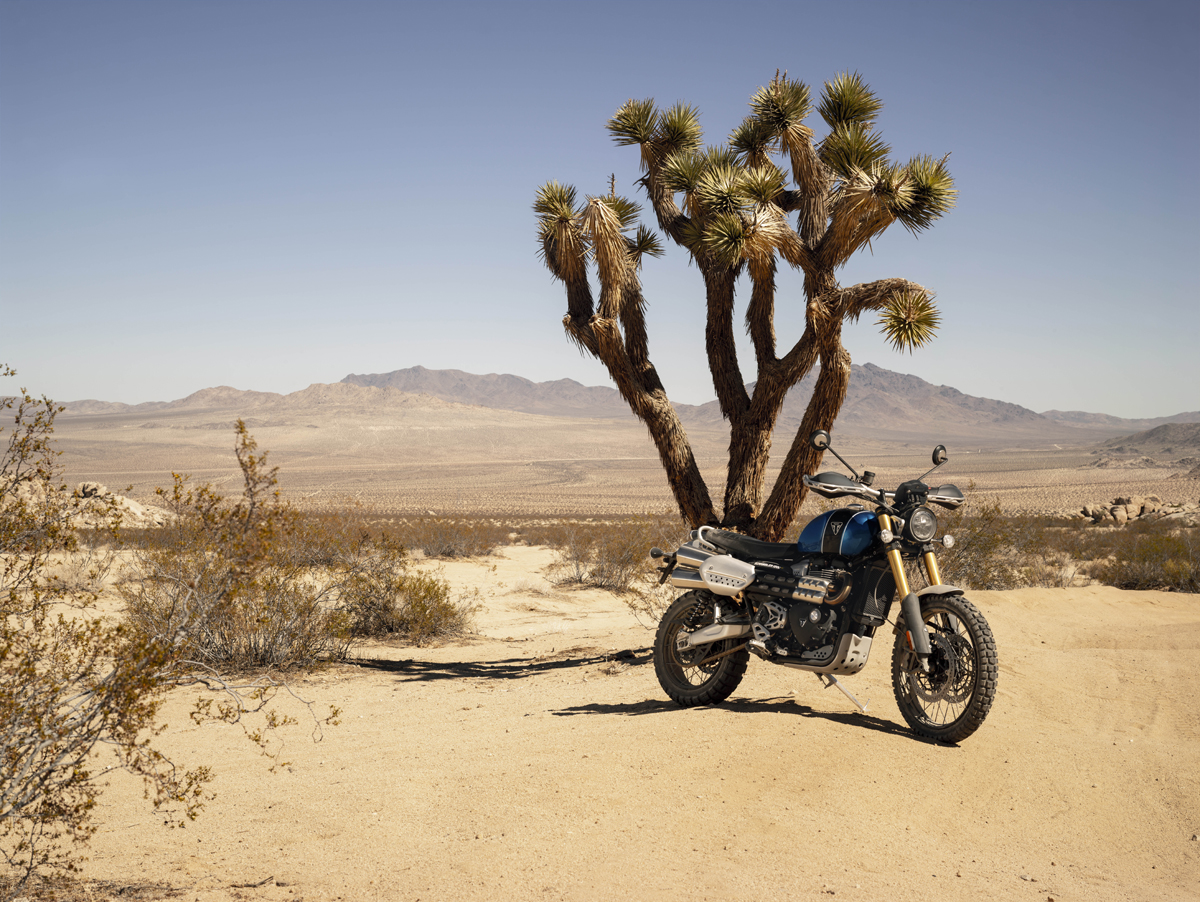 Triumph Scrambler 1200 - 2019 - 16